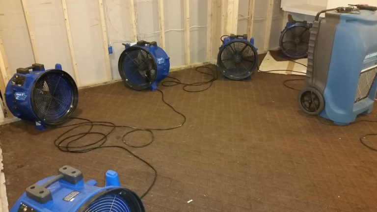 Water Damage Repair in Tacoma WA